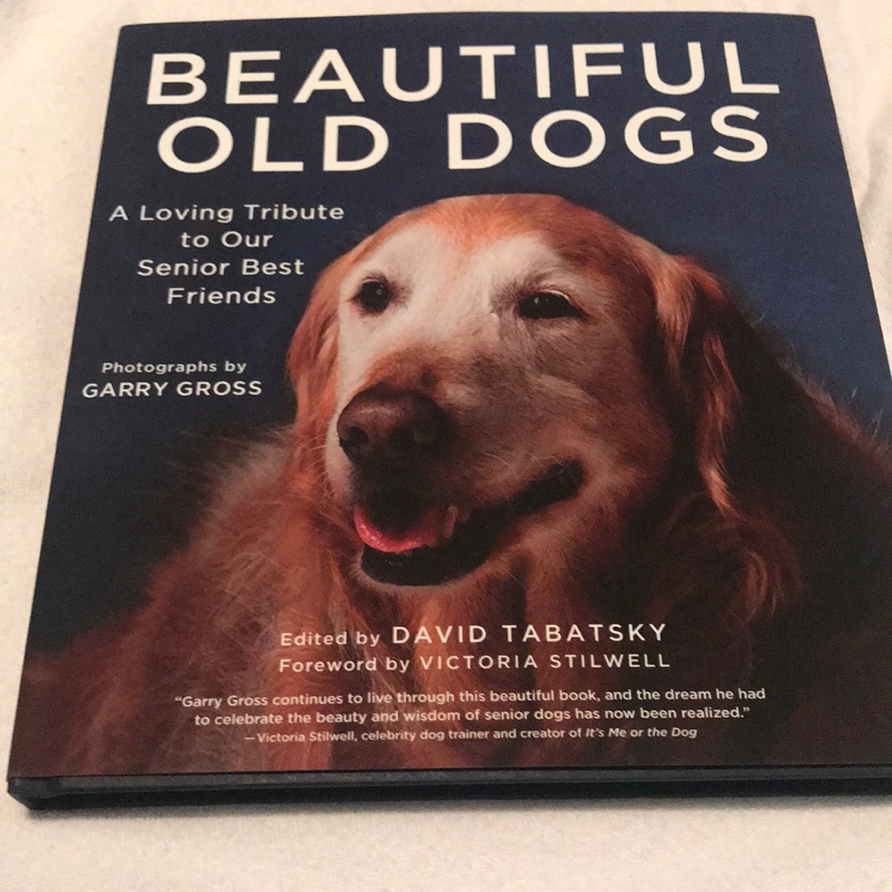 Beautiful Old Dogs Hard Cover